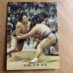 2025年最新】北の富士勝昭の人気アイテム - メルカリ