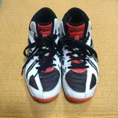 Item thumbnail for item 5d2552e3-6652-4c44-9414-f3771e22a293