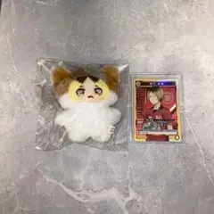 ハイキュー‼︎ 孤爪研磨