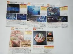 4枚 沼津港深海水族館　沼津深海水族館　割引券　クーポン　静岡県　沼津市　食事のサムネイル