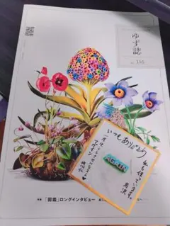 【非売品】ゆず アゲイン AGAIN ピック　ゆずの輪継続特典＆ゆず誌155号