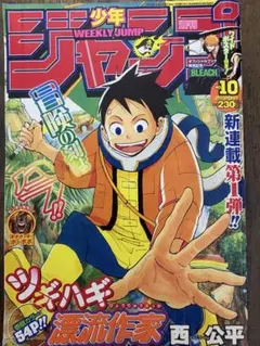 週刊少年ジャンプ 2006年10号※ツギハギ漂流作家 BLEACHポスターロビン