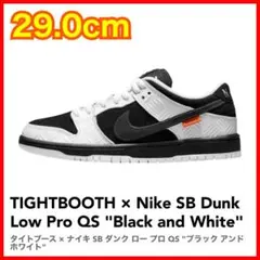 TIGHTBOOTH × Nike SB Dunk Low Pro QS