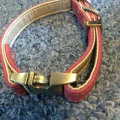 Item thumbnail for item bf649fcb-9f0b-412d-89e2-347e5eb68ba5