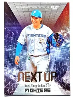柴田獅子 インサート NEXT UP BBM 北海道日本ハムファイターズ2026