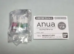 Anua ミニチュアチャーム