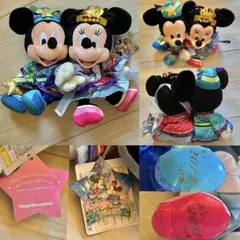 TDS⭐️七夕⭐️ミッキー＆ミニー❤️ペアぬいぐるみ❣️ディズニー⭐️