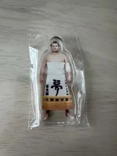 力士アクスタ-栃大海　相撲