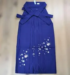 Item thumbnail for item d6ff7565-83e1-444a-8e51-be8ee9e5a440