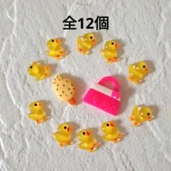 カボションデコパーツミニアヒル10個バッ+バック・アイスセット／全12個