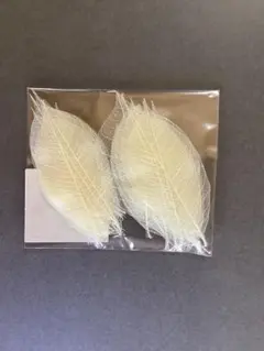 Item thumbnail for item 7ca8dca9-e0fb-44e3-9082-567d3b37e92c