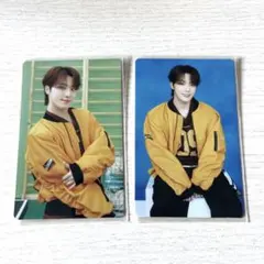 SEVENTEEN CARATLAND ディノ　トレカセット