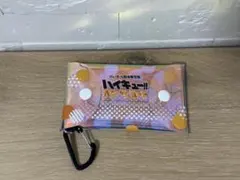 ハイキュー!! オンザコート クリアマルチケース
