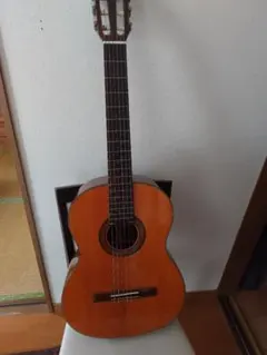 国産☆牛骨】MORRIS！少し小ぶり！MF603【弾き易く調整☆新品弦
