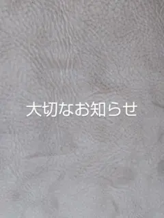 Item thumbnail for item 7263074c-dd67-4c5a-912a-19d8493e36f0