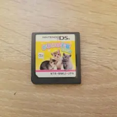 Nintendo DS かわいい子猫 DS2 NTR-BNKJ-JPN