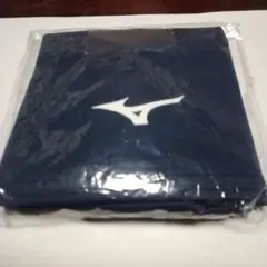 Item thumbnail for item 9d702a48-51e8-4b10-8736-eb06b26d39f4