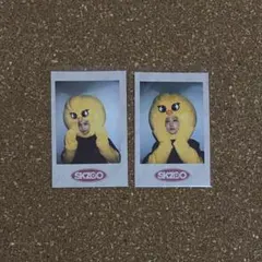 skzoo ポガリ フィリックス ポラロイド トレカ