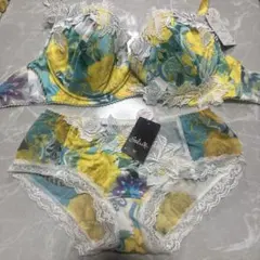 ワコール サルート【超激レア 入手困難♡30周年♡ライモンダ♡94G】セット