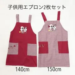 ディズニー ミニーマウス エプロン 140cm 150cm 2枚セット お揃い