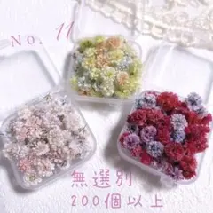 かすみ草ドライフラワー無選別