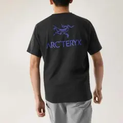 新品レア ARC'TERYX system_a コパルバードTシャツ Lブラック 新品レア ARC'TERYX system_a コパルバードTシャツ Lブラック - メルカリ