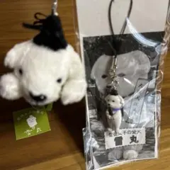 雪丸 ぬいぐるみ・ストラップセット