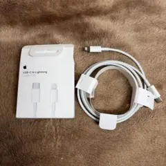 USB-C to Lightningケーブル 1m + ACアダプタ