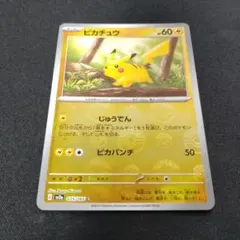 2026年最新】ピカチュウ モンスターボールミラー エラーの人気アイテム