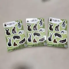 Item thumbnail for item 74e1366f-5586-4855-83b9-9c2a6b9268aa