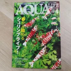 Item thumbnail for item 909d2bd9-b64b-4423-b9c2-746e295eecdd