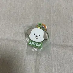 RIIZEぷっくりめじるしアクセサリー アントン