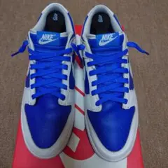 Nike Dunk Low Retro Racer Blue and White