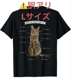 ⚠️訳アリ【Lサイズ】キジトラ　猫　ネコ　かわいい　Tシャツ　ブラック