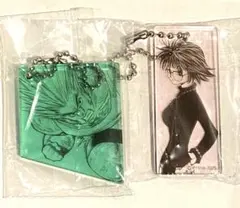 ジャンプショップ 神保町 HUNTER×HUNTER アクリルキーホルダー 2点