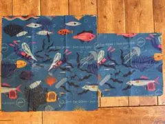 Item thumbnail for item 40387a8b-1a91-4d59-8005-49b628683732