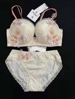 ワコール　パルファージュ　Wacoal　PARFAGE　ブラ＆ショーツ　セット