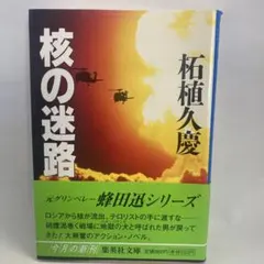核の迷路 拓植久慶