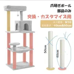 Item thumbnail for item c3a56cac-f88f-44bf-bff8-f64ad10d5896