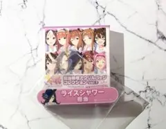 ウマ娘 担当称号アクリルバッジコレクション vol.10 シュヴァルグラン