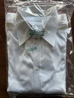 Brooks Brothers Shirt ミラノフィット 15-32
