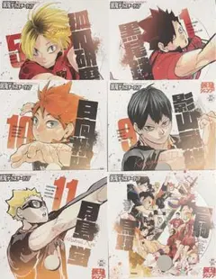 劇場版ハイキュー!! ゴミ捨て場の決戦 最強ジャンプ 付録 うちわ