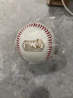 石井大智 記念グッズ