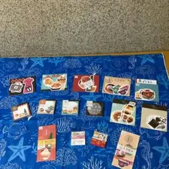 中学受験 暗記カード 地理 日能研 四谷大塚 サピックス 早稲アカ 予