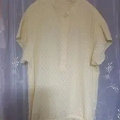 ほぼ新品 SHIPS any 〈洗濯機可能〉カットジャカードヘムドロストブラウス