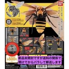 いきもの大図鑑スズメバチ クロスズメバチ