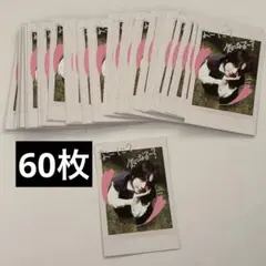 &TEAM Back to Life TAKI タキ チェキ風カード