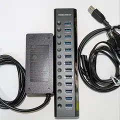 ROSONWAY USBハブ 電源付き 13ポート