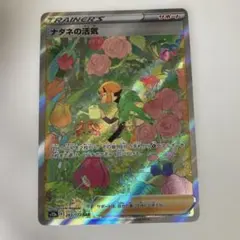 ポケモンカード 【ナタネの活気 SAR】 他全16枚のサムネイル