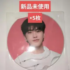 SEVENTEEN FOLLOW AGAIN うちわ ディノ 新品未使用 5枚 - メルカリ